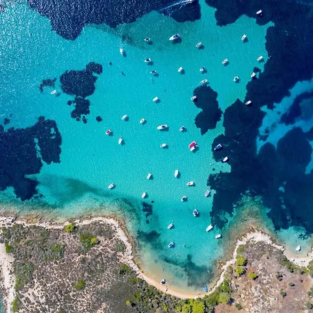 شقة فندقية Anore Luxury نيكيتي